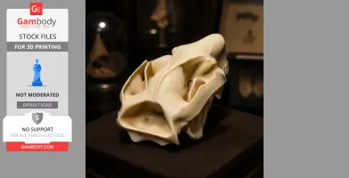 Mountain Brushtail Possum Skull - Skull Replica STL