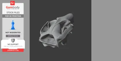 Mountain Brushtail Possum Skull - Skull Replica STL
