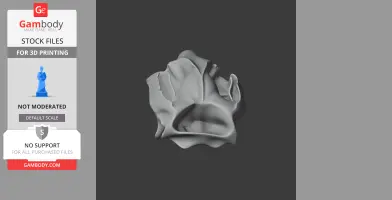 Mountain Brushtail Possum Skull - Skull Replica STL