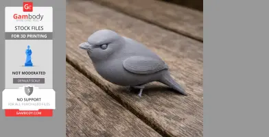 Ashy-headed tyrannulet - Prehistoric Animal STL