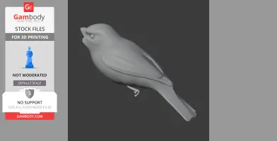 Ashy-headed tyrannulet - Prehistoric Animal STL