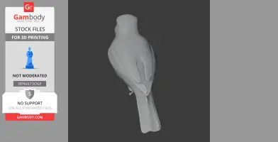 Ashy-headed tyrannulet - Prehistoric Animal STL