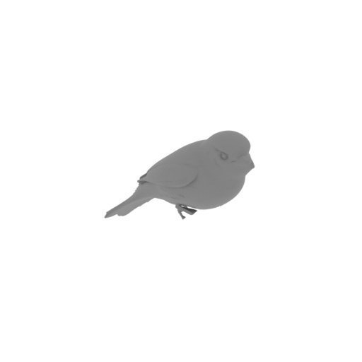 Ashy-headed tyrannulet.stl