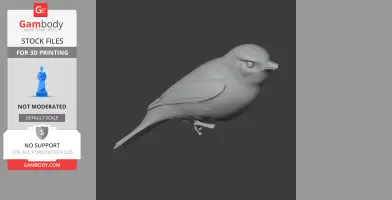 Ashy-headed tyrannulet - Prehistoric Animal STL