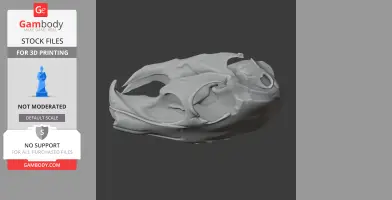 Mountain Viscacha Skull - Skull Replica STL