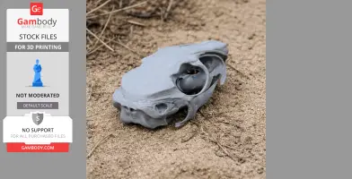 Mountain Viscacha Skull - Skull Replica STL