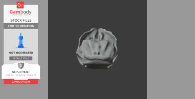 Mountain Viscacha Skull - Skull Replica STL