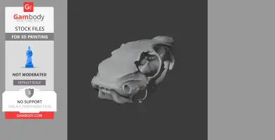 Mountain Viscacha Skull - Skull Replica STL