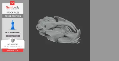 Mountain Viscacha Skull - Skull Replica STL