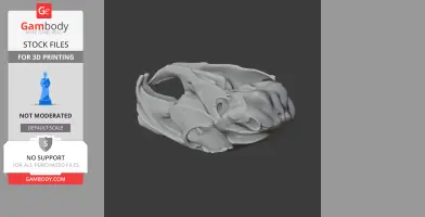 Mountain Viscacha Skull - Skull Replica STL