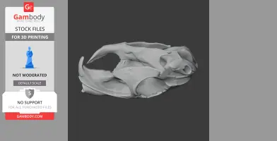 Mountain Viscacha Skull - Skull Replica STL