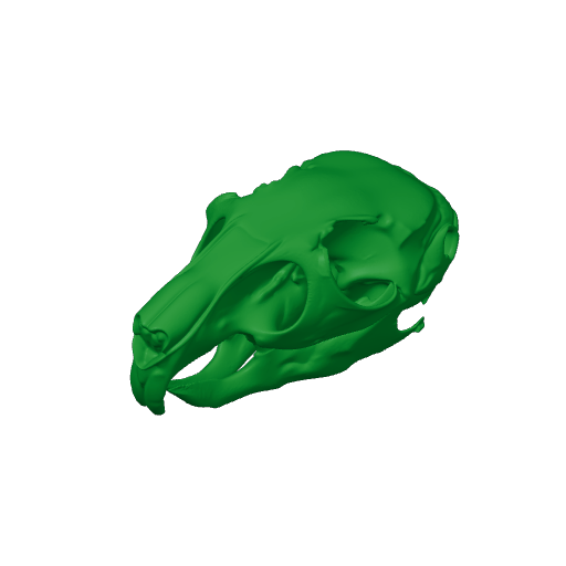 Mountain Viscacha Skull.3mf