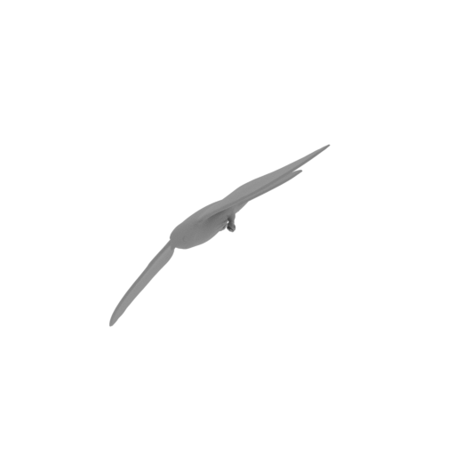 Ashy-tailed swift.stl