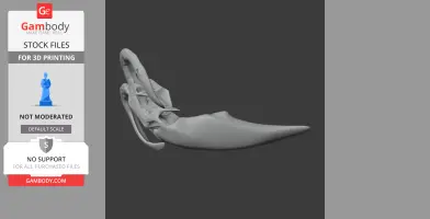 Moythomasia Skull - Skull Replica STL