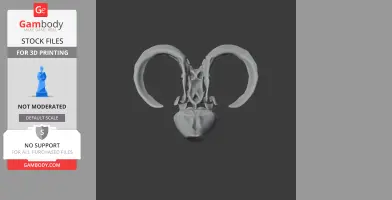 Moythomasia Skull - Skull Replica STL