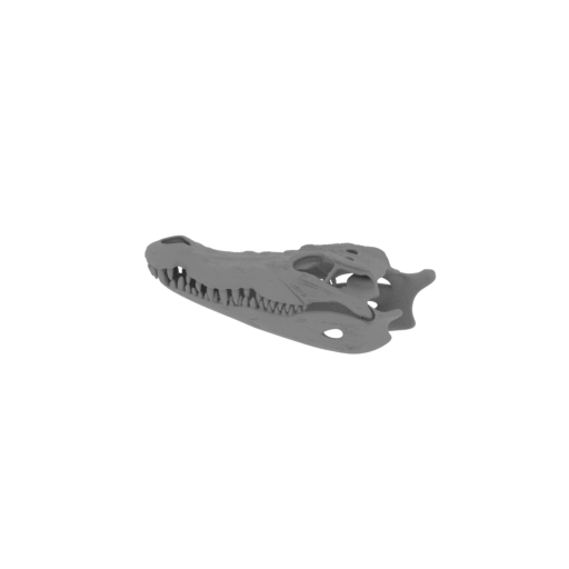 Mugger Crocodile Skull.stl