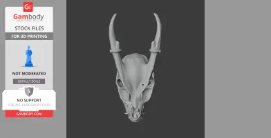 Muntjac Skull - Skull Replica STL