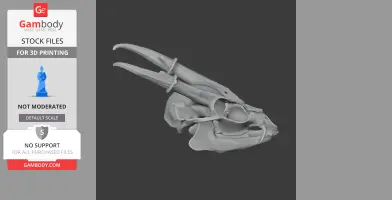 Muntjac Skull - Skull Replica STL
