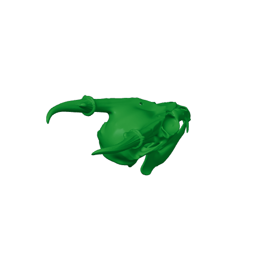 Muntjac Skull.3mf