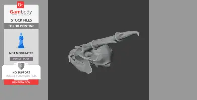 Muntjac Skull - Skull Replica STL
