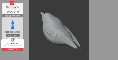 3D model of an ash-throated warbler, detailed feathers, resting pose, ready for 3D printing.
