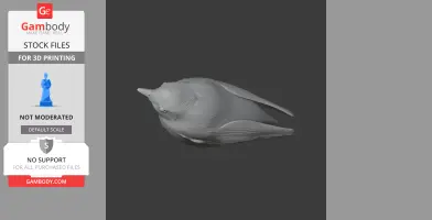 3D model of an ashy-throated warbler, showcasing detailed features, for 3D printing.