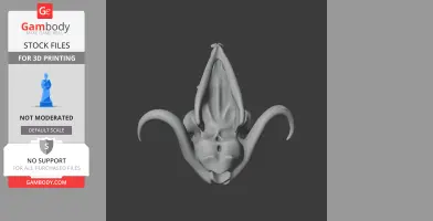 3D model of a musk ox skull with curved horns, ready for 3D printing.