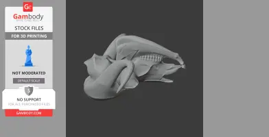 3D model of a detailed musk ox skull replica for 3D printing.