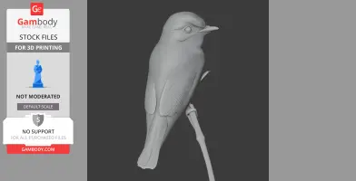 Asian brown flycatcher - Prehistoric Animal STL