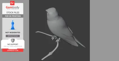 Asian brown flycatcher - Prehistoric Animal STL