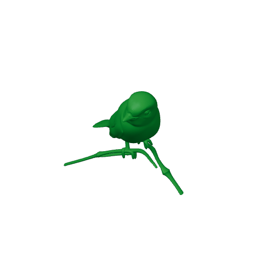 Asian brown flycatcher.3mf