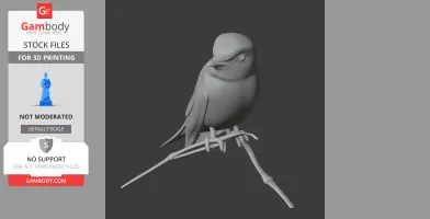 Asian brown flycatcher - Prehistoric Animal STL
