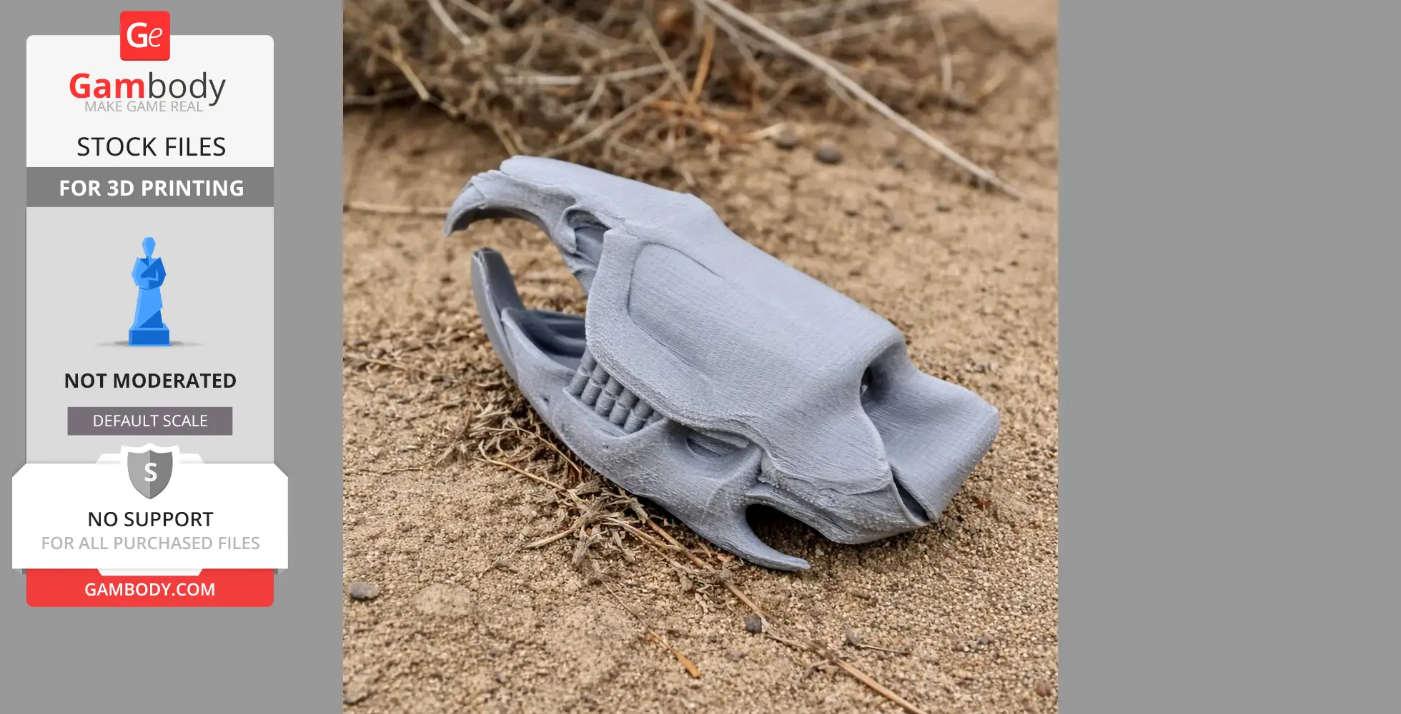 Muskrat Skull - Skull Replica STL