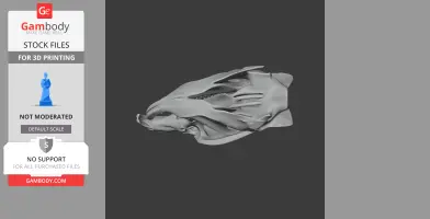 Muskrat Skull - Skull Replica STL