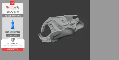 Muskrat Skull - Skull Replica STL