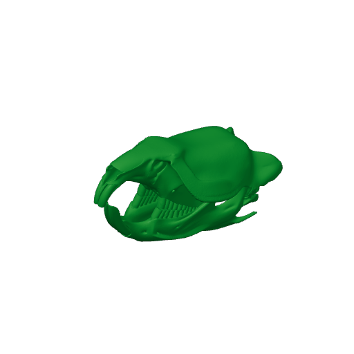 Muskrat Skull.3mf