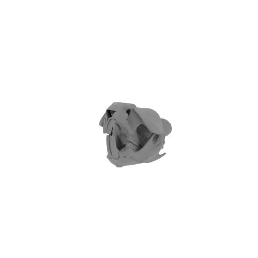 Muskrat Skull.stl