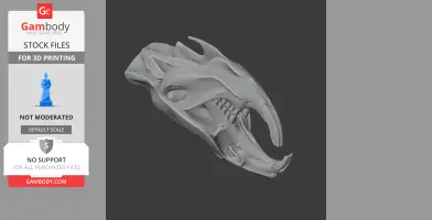 Muskrat Skull - Skull Replica STL