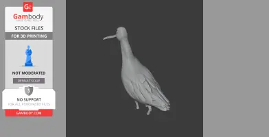Asian dowitcher - Prehistoric Animal STL