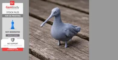 Asian dowitcher - Prehistoric Animal STL