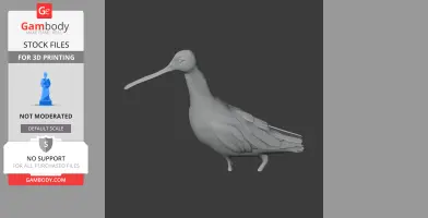 Asian dowitcher - Prehistoric Animal STL
