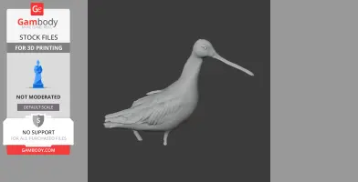 Asian dowitcher - Prehistoric Animal STL