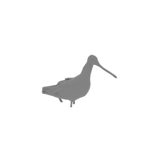 Asian dowitcher.stl