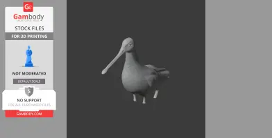 Asian dowitcher - Prehistoric Animal STL