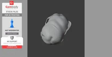 Musky Rat-kangaroo Skull - Skull Replica STL