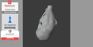 Musky Rat-kangaroo Skull - Skull Replica STL