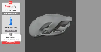 Musky Rat-kangaroo Skull - Skull Replica STL