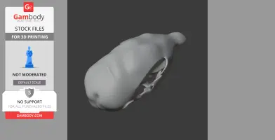 Musky Rat-kangaroo Skull - Skull Replica STL