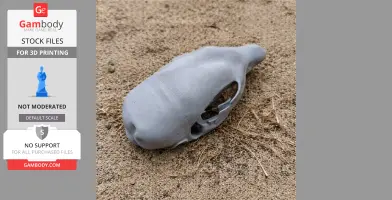 Musky Rat-kangaroo Skull - Skull Replica STL