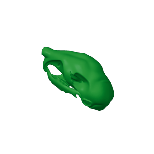 Musky Rat-kangaroo Skull.3mf